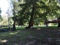 Tn 0234 DSC 5539